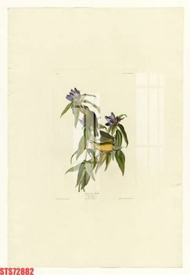 Tải file gốc Tranh sơn dầu phương tây tổng hợp STS72882 (in tráng gương) 5DFile gốc Tranh sơn dầu phương tây tổng hợp STS72882 (in ấn) phiên bản premium