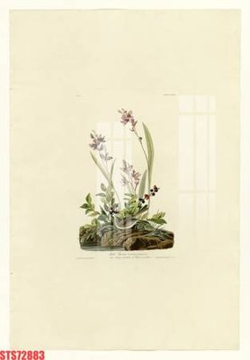 File gốc Tranh sơn dầu phương tây tổng hợp STS72883 (trang trí) phòng làm việc