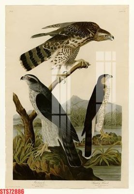 Tải file Tranh sơn dầu phương tây tổng hợp STS72886 (PSD) cho in tranh 3D