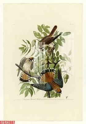 Download file Tranh sơn dầu phương tây tổng hợp STS72887 (chuẩn in) chất lượng cao