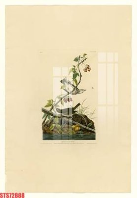 Tải file gốc Tranh sơn dầu phương tây tổng hợp STS72888 (in tráng gương) cao cấpFile gốc Tranh sơn dầu phương tây tổng hợp STS72888 (in ấn) phiên bản độc quyền