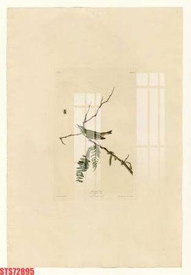 File tranh trang trí Tranh sơn dầu phương tây tổng hợp STS72895 (file gốc)