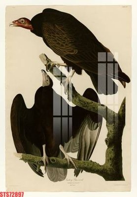 Tải file Tranh sơn dầu phương tây tổng hợp STS72897 (ảnh gốc) file TIFF