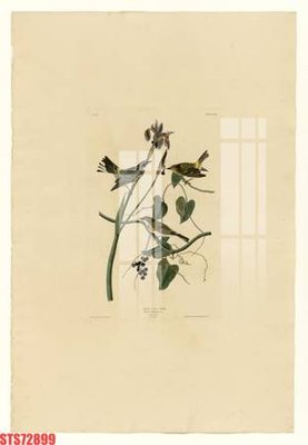 Tệp tin gốc Tranh sơn dầu phương tây tổng hợp STS72899 (chất lượng) Tranh sơn dầu phương tây tổng hợp STS72899