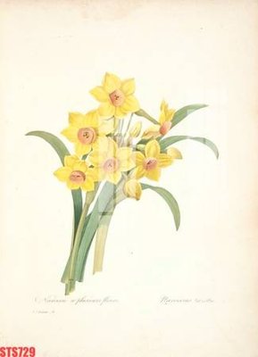 File gốc Tranh sơn dầu phương tây tổng hợp STS729 (PNG) không nền chất lượng