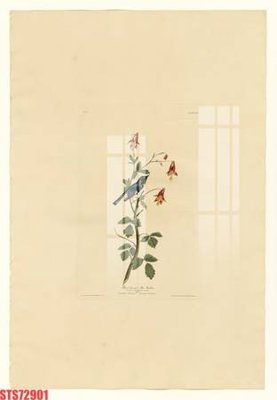 File tranh Tranh sơn dầu phương tây tổng hợp STS72901 (ảnh gốc) không bị mờ