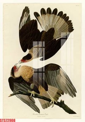 File in trần Tranh sơn dầu phương tây tổng hợp STS72908 (bản gốc) mây trời