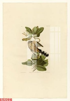 File in trần Tranh sơn dầu phương tây tổng hợp STS72916 (file gốc) hoa văn 3D