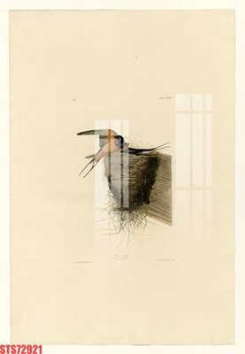 File tranh in trần Tranh sơn dầu phương tây tổng hợp STS72921 (ảnh gốc siêu nét)