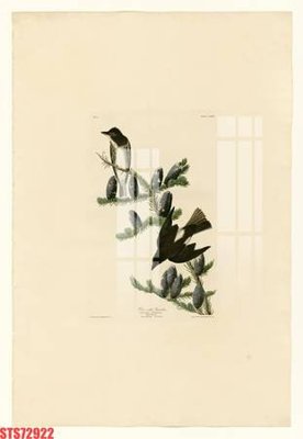 File gốc Tranh sơn dầu phương tây tổng hợp STS72922 (PNG) chất lượng cao