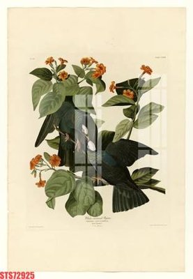 File tranh PSD Tranh sơn dầu phương tây tổng hợp STS72925 chất lượng cao