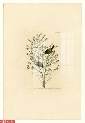 File gốc Tranh sơn dầu phương tây tổng hợp STS72926 (in 3D) nghệ thuật