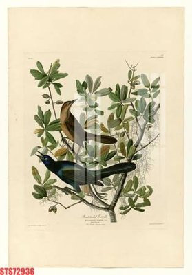 File tranh Tranh sơn dầu phương tây tổng hợp STS72936 (gốc) in backlit film