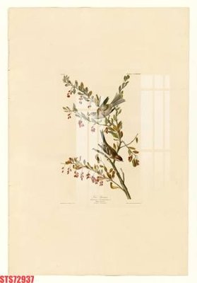 File gốc Tranh sơn dầu phương tây tổng hợp STS72937 (PNG) trong suốt (transparent)