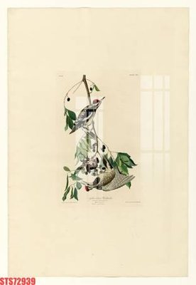 File tranh Tranh sơn dầu phương tây tổng hợp STS72939 (gốc) in film