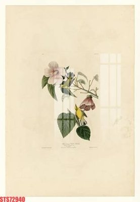 File gốc in tráng gương Tranh sơn dầu phương tây tổng hợp STS72940 chi tiết