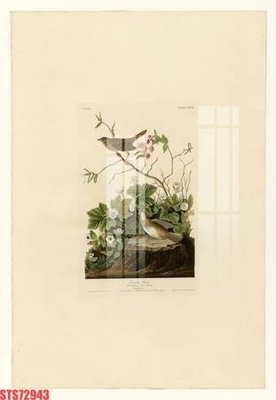 Download file gốc Tranh sơn dầu phương tây tổng hợp STS72943 (in lụa) nghệ thuật