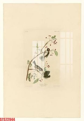 Tải file gốc Tranh sơn dầu phương tây tổng hợp STS72944 (in khổ lớn) không vỡ