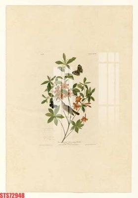 Tải file gốc Tranh sơn dầu phương tây tổng hợp STS72948 (để in lụa)