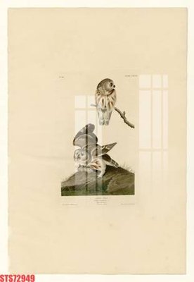 File ảnh Tranh sơn dầu phương tây tổng hợp STS72949 (gốc) in decal dán tường