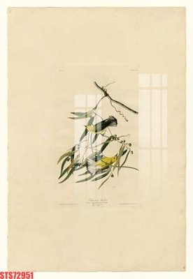 File gốc Tranh sơn dầu phương tây tổng hợp STS72951 (thiết kế) độc quyền