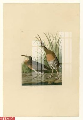 File PSD Tranh sơn dầu phương tây tổng hợp STS72956 (bản gốc) cho nhà in