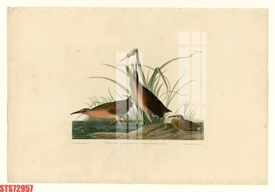 Download file gốc Tranh sơn dầu phương tây tổng hợp STS72957 (in lụa) cao cấp