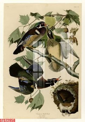 Download file Tranh sơn dầu phương tây tổng hợp STS72958 (gốc) in mica ốp bếp