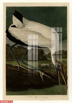 File ảnh Tranh sơn dầu phương tây tổng hợp STS72969 (gốc) cho trang trí nhà hàng