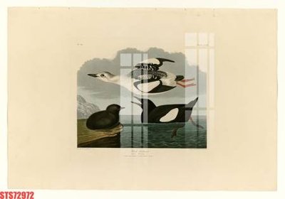 Tải file Tranh sơn dầu phương tây tổng hợp STS72972 (ảnh gốc) độ phân giải 300dpi