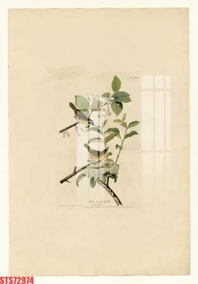 Download file tranh PSD Tranh sơn dầu phương tây tổng hợp STS72974 để chỉnh sửa