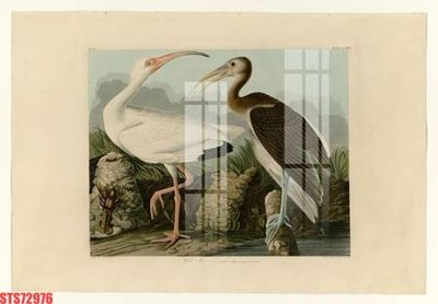 File gốc Tranh sơn dầu phương tây tổng hợp STS72976 (phong cách) châu Âu