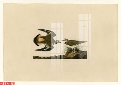 File tranh trang trí Tranh sơn dầu phương tây tổng hợp STS72979 (tải file gốc)