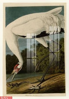 File tranh gốc Tranh sơn dầu phương tây tổng hợp STS72980 (sắc nét từng chi tiết)