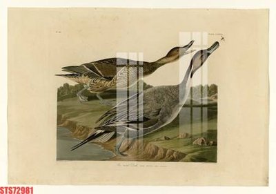 File gốc Tranh sơn dầu phương tây tổng hợp STS72981 (PSD/TIFF) độ phân giải cao