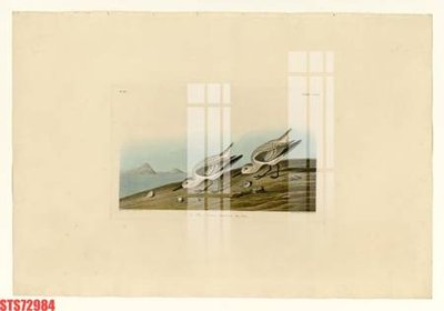 Chi tiết file gốc Tranh sơn dầu phương tây tổng hợp STS72984 (cho in tráng gương)