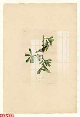 Download file gốc Tranh sơn dầu phương tây tổng hợp STS72985 (dùng cho in ấn)