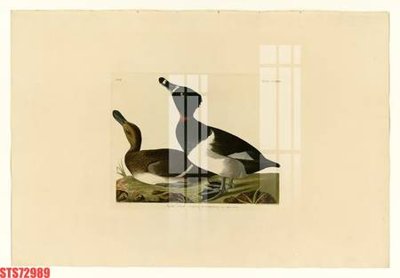 File gốc Tranh sơn dầu phương tây tổng hợp STS72989 (in mica) làm quà tặng