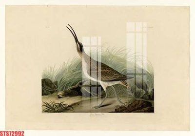 File tranh Tranh sơn dầu phương tây tổng hợp STS72992 (ảnh gốc) in trần 3D