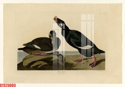 File gốc Tranh sơn dầu phương tây tổng hợp STS73003 (in lụa) họa tiết 3D