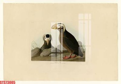 Hình ảnh file gốc in lụa Tranh sơn dầu phương tây tổng hợp STS73005