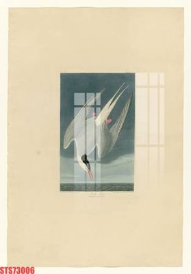 File gốc Tranh sơn dầu phương tây tổng hợp STS73006 (chuẩn CMYK) cho nhà in