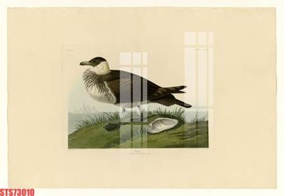 File tranh Tranh sơn dầu phương tây tổng hợp STS73010 (bản gốc) in lụa 5D