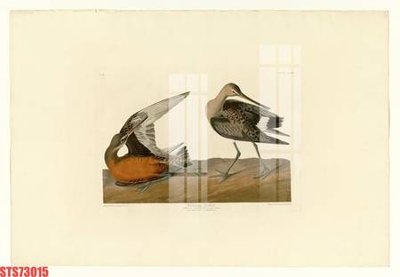 File gốc Tranh sơn dầu phương tây tổng hợp STS73015 (in mica) trang trí