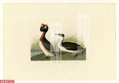 Tải file Tranh sơn dầu phương tây tổng hợp STS73016 (gốc) chủ đề phong thủy