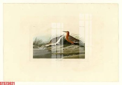 Tệp tin gốc Tranh sơn dầu phương tây tổng hợp STS73021 (dùng cho in ấn) chuyên nghiệp