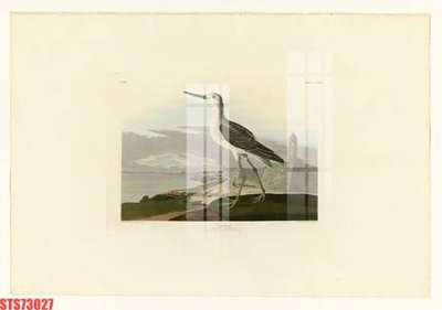 File PSD Tranh sơn dầu phương tây tổng hợp STS73027 (nguyên gốc) chất lượng cao