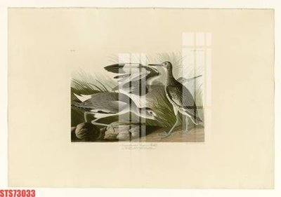 Download file Tranh sơn dầu phương tây tổng hợp STS73033 (chuẩn in) chất lượng cao