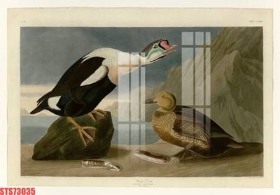 File PSD Tranh sơn dầu phương tây tổng hợp STS73035 (bản gốc) dễ dàng edit