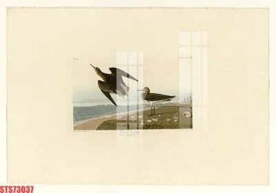 File gốc Tranh sơn dầu phương tây tổng hợp STS73037 (PNG) chất lượng cao